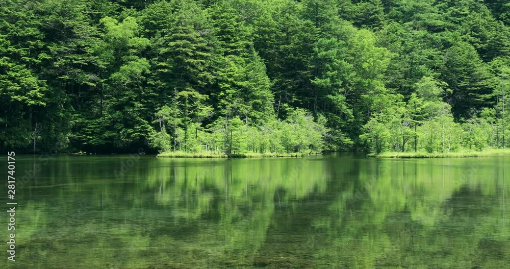 View of pond and trees, Matsumoto, Nagano Prefecture, Japan View of pond and trees, Matsumoto, Nagano Prefecture, Japan