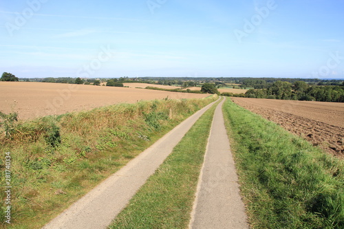 road in the field