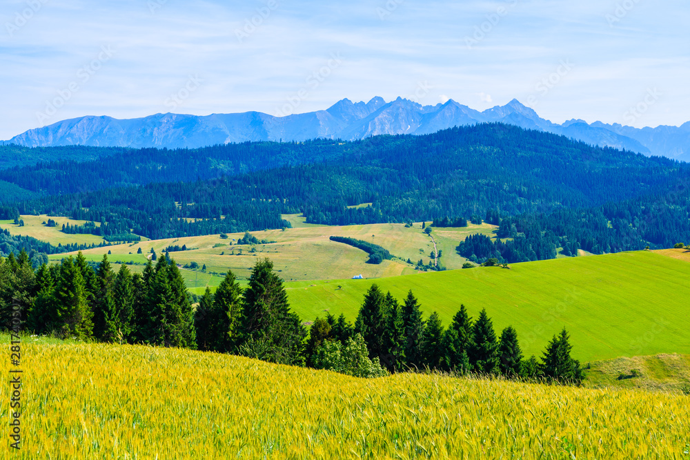 View of Tatra Mountains and green fields on summer day, Poland