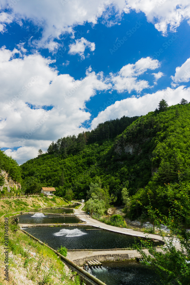 FISH BREEDER POOLS FOR BALKAN AND RAINBOW TROUT FISH BREEDER POOLS FOR BALKAN AND RAINBOW TROUT