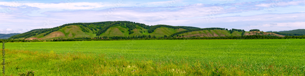 Summer landscape with green grass on a field and beautiful sky, Bashkortostan, Russia