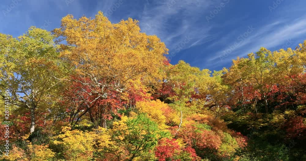 Autumn day in mountain area, Kamikawa, Hokkaido, Japan Autumn day in mountain area, Kamikawa, Hokkaido, Japan