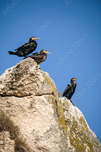 climber on top of the mountain