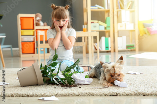 Canvastavla Little girl and her dog near dropped houseplant and paper pieces on carpet