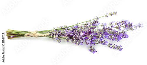 Beautiful lavender flowers on white background