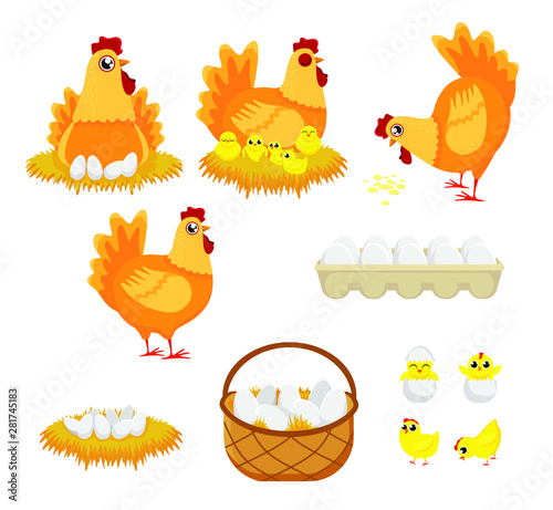 Chicken eggs. Hen farm egg, nest and tray of chickens eggs. Chick child, hens character easter mascot and egg box. Cartoon illustration isolated icons set