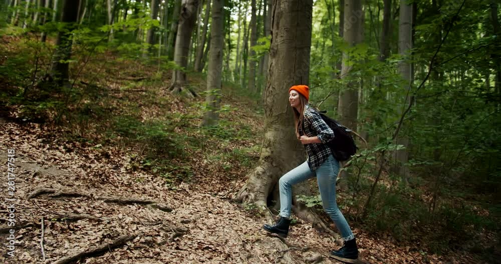 Backpacked female tourist in casual clothing and orange hat walking uphill in forest, looking around and enjoying nature, Backpacked female tourist in casual clothing and orange hat walking uphill in forest, looking around and enjoying nature,