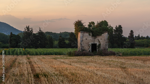 shed in a wheat field in Drôme provençale