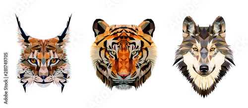 Fototapeta Naklejka Na Ścianę i Meble -  Low poly triangular tiger, lynx and wolf heads on white background, vector illustration isolated.  Polygonal style trendy modern logo design. Suitable for printing on a t-shirt.