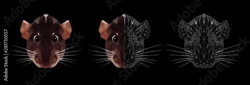 Rat face, symbol of new year 2020, on white background, low poly and wireframe vector illustration isolated.  Polygonal style trendy modern logo design. Suitable for printing on a t-shirt.