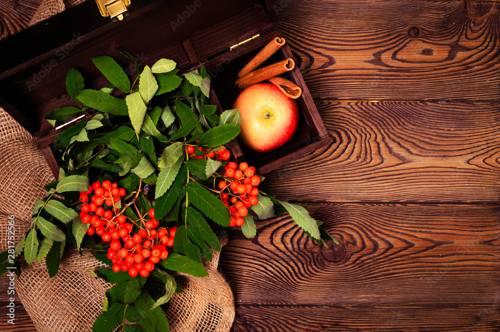 Autumn background with apples, cinnamon and a rowan branch in a wooden chest on a wooden table in rustic style. Copy space Autumn background with apples, cinnamon and a rowan branch in a wooden chest on a wooden table in rustic style. Copy space