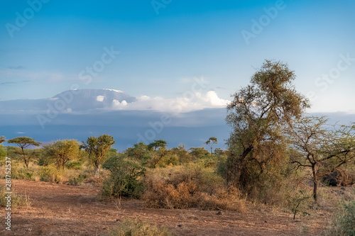 View of the Kilimandjaro mountain in Tanzania  with the savannah  beautiful panorama