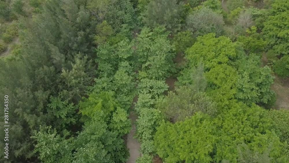 Aerial shot of green city park