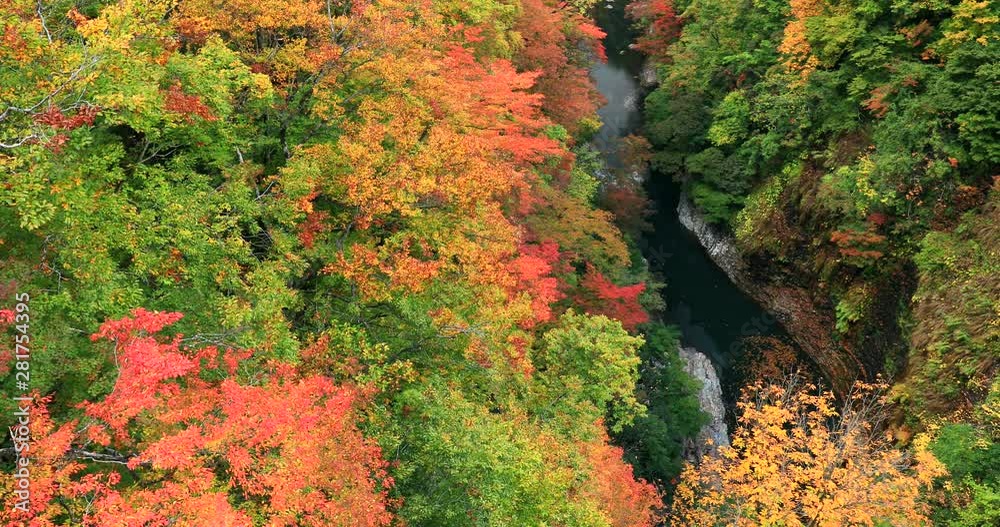 Aerial view of river and forest, Oyasukyo Daifunto, Yuzawa Aerial view of river and forest, Oyasukyo Daifunto, Yuzawa