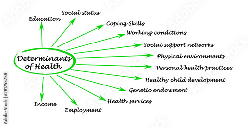 Twelve Determinants of Health