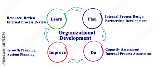 Components of Organizational Development