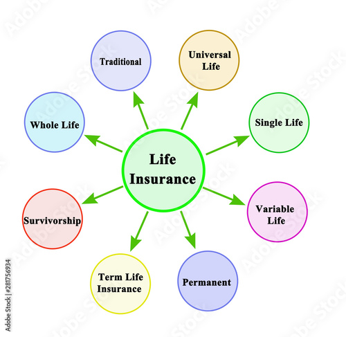 Eight types of life insurance