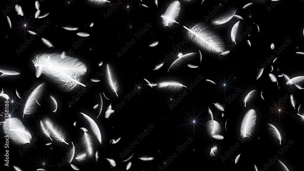 Feather fluffy falling in the wind background
