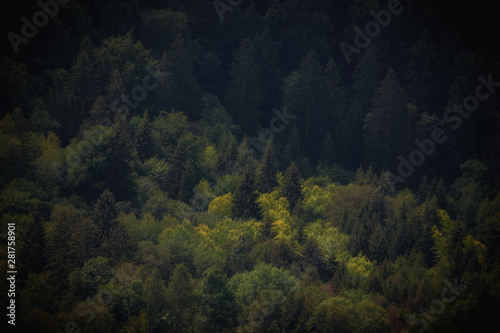 Rural Bavarian Hill Landscape