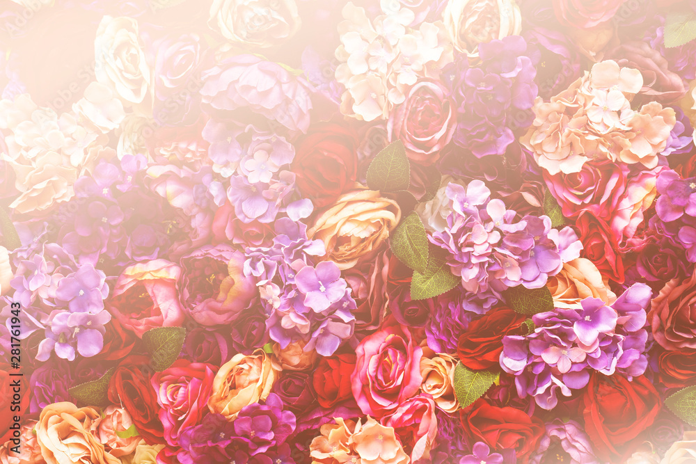 Background of pink orange and peach roses, romantic dreamy design for valentine concept