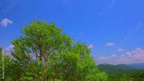 View of mountains and trees, Nagawa, Nagano Prefecture, Japan photo