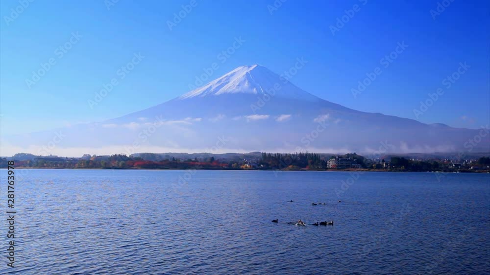 Ducks swimming in Lake Kawaguchi with Mount Fuji looming in background Ducks swimming in Lake Kawaguchi with Mount Fuji looming in background