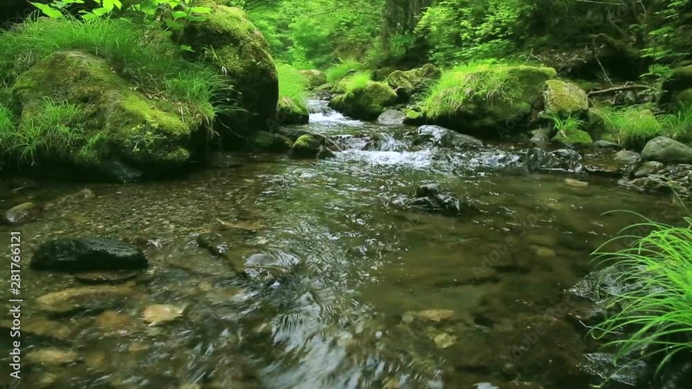 Landscape with stream in forest, Okutama, Tokyo, Japan Landscape with stream in forest, Okutama, Tokyo, Japan