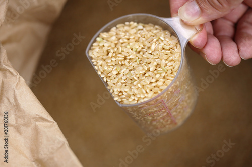 玄米の入った計量カップ photo