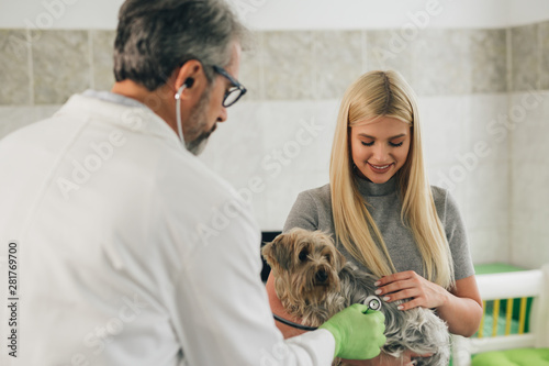Fototapeta Naklejka Na Ścianę i Meble -  woman consulting with her veterinarian about her pet at veterinary clinic