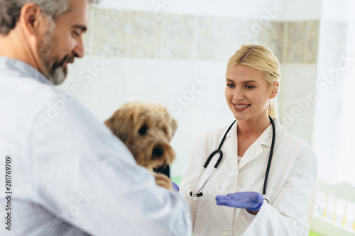 man brings his dog at veterinary clinic