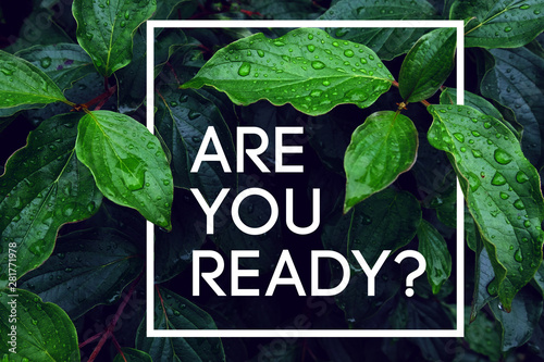 Question to the person are you ready? Start something new, start a new life, find your way