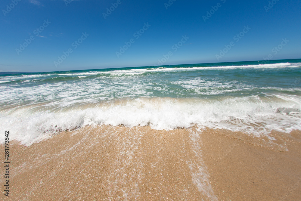 Fototapeta premium 夏のビーチ