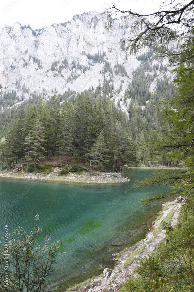 mountains and coniferous trees on the shore of a Green lake, Austria