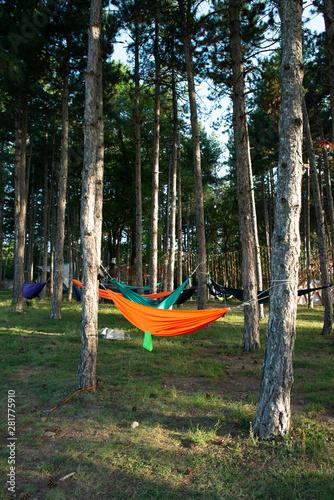 Hammocks on trees in the forest. Sunshine morning in the forest.