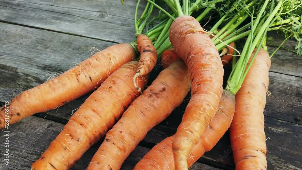 carrot harvest harvested on rustic wooden background. Top view carrot harvest harvested on rustic wooden background. Top view