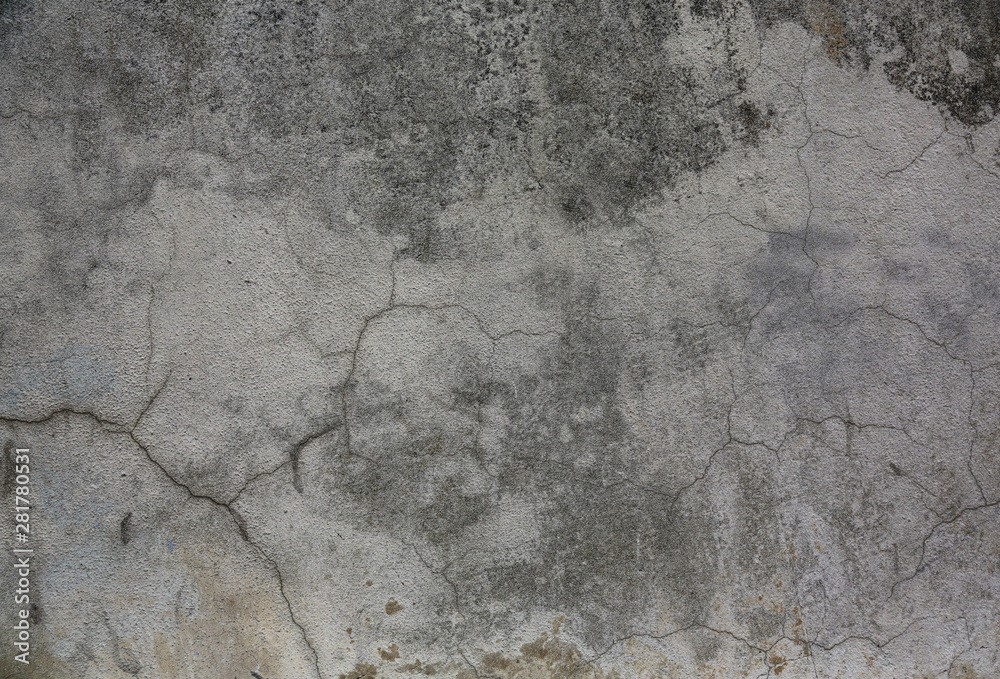 Fototapeta premium grey concrete wall.