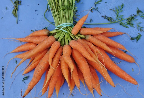 Fresh carrots bunches for sale at a farmers market