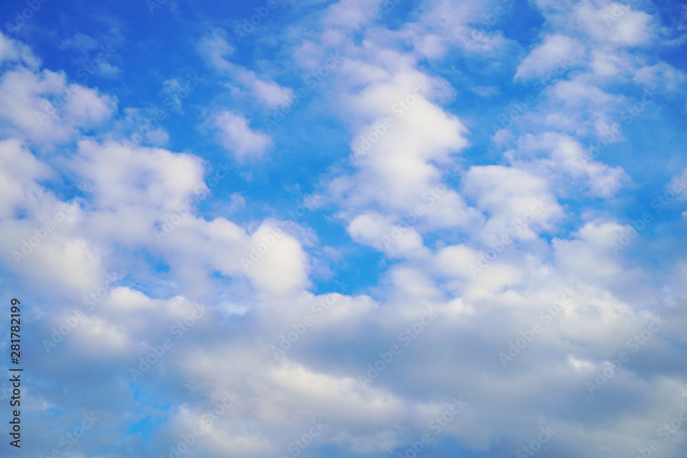 Fototapeta premium 夏空