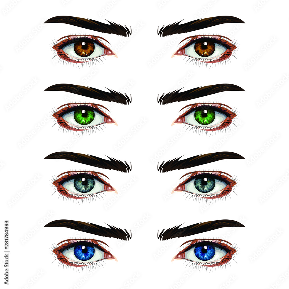 A set of female eyes in realistic style isolated on white background,set of eyes