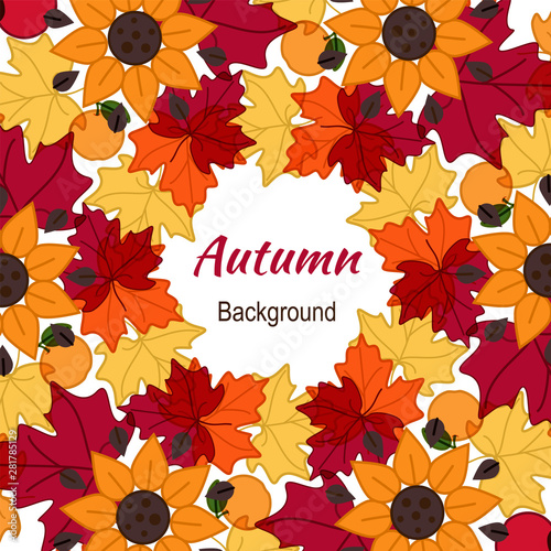 autumn background leafs art frame flora orange
