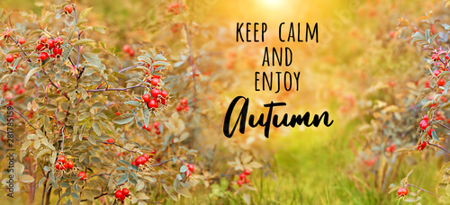 Foto Keep calm and enjoy Autumn - text on autumn abstract defocused nature background