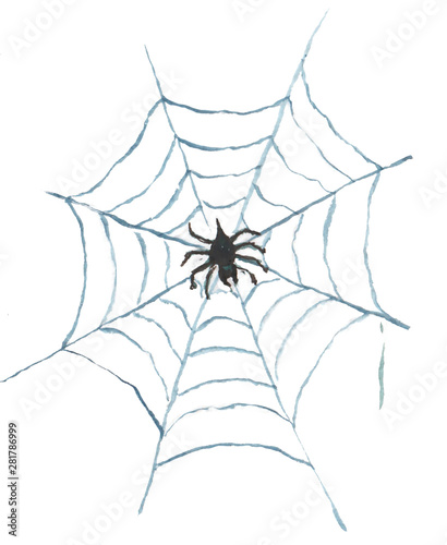 Watercolor illustration of cobweb with spider
