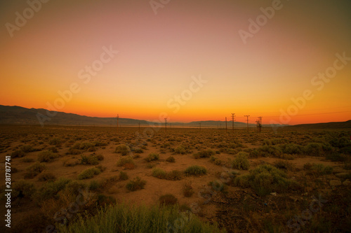 A photograph of a sunset in the desert with shrubberies throughout the shot.
