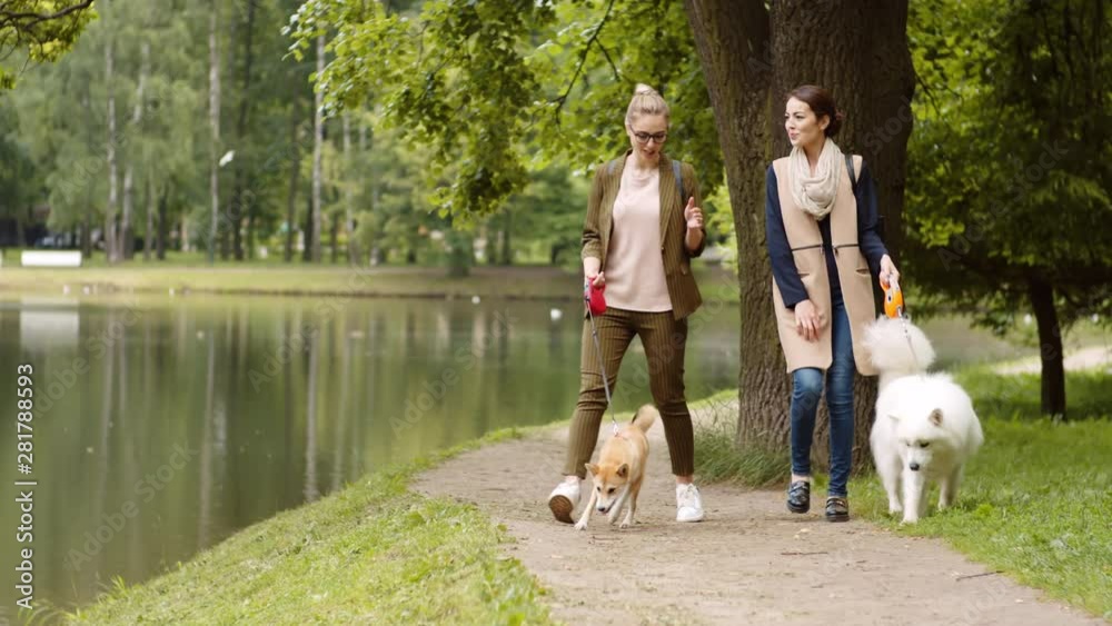 Tilt up of two diverse female friends walking along pond with their dogs and chatting Tilt up of two diverse female friends walking along pond with their dogs and chatting