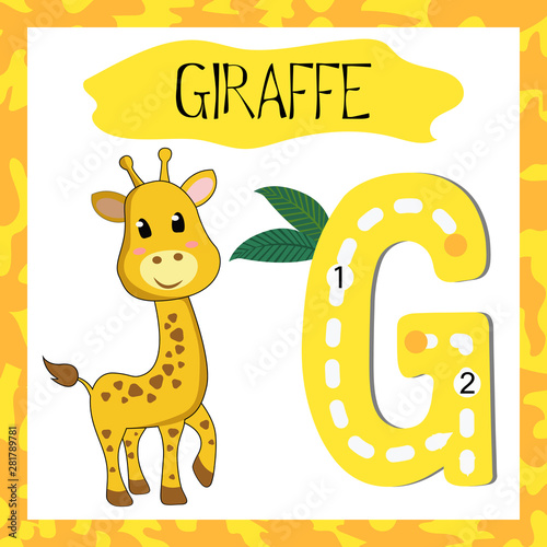 Letter G uppercase cute children colorful zoo and animals ABC alphabet tracing flashcard of Giraffe for kids learning English vocabulary and handwriting 