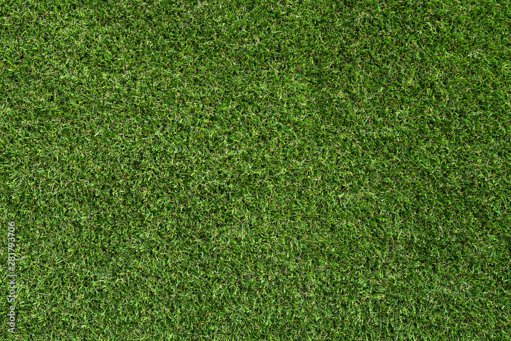 Obraz premium Background and texture of Beautiful green grass pattern from golf course