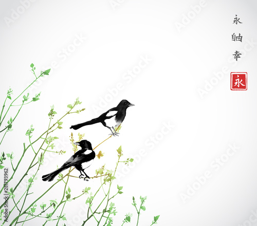 Young trees and two magpies birds. Traditional oriental ink painting sumi-e, u-sin, go-hua. Hieroglyph - double luck.