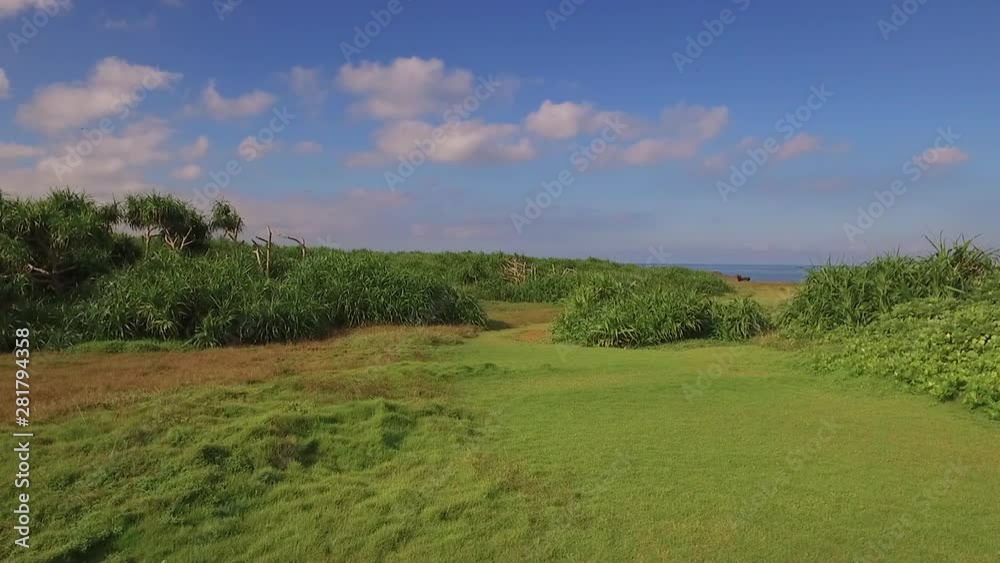 View of plants on Manza Beach, Onna, Okinawa Prefecture, Japan View of plants on Manza Beach, Onna, Okinawa Prefecture, Japan