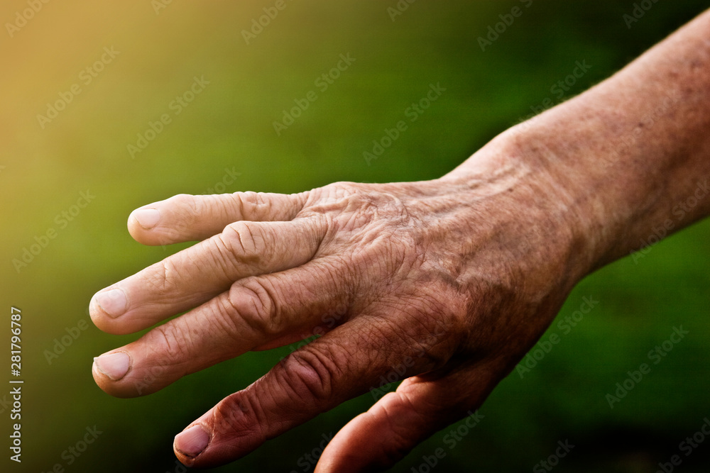 The hands of an old grandmother in the sun The hands of an old grandmother in the sun