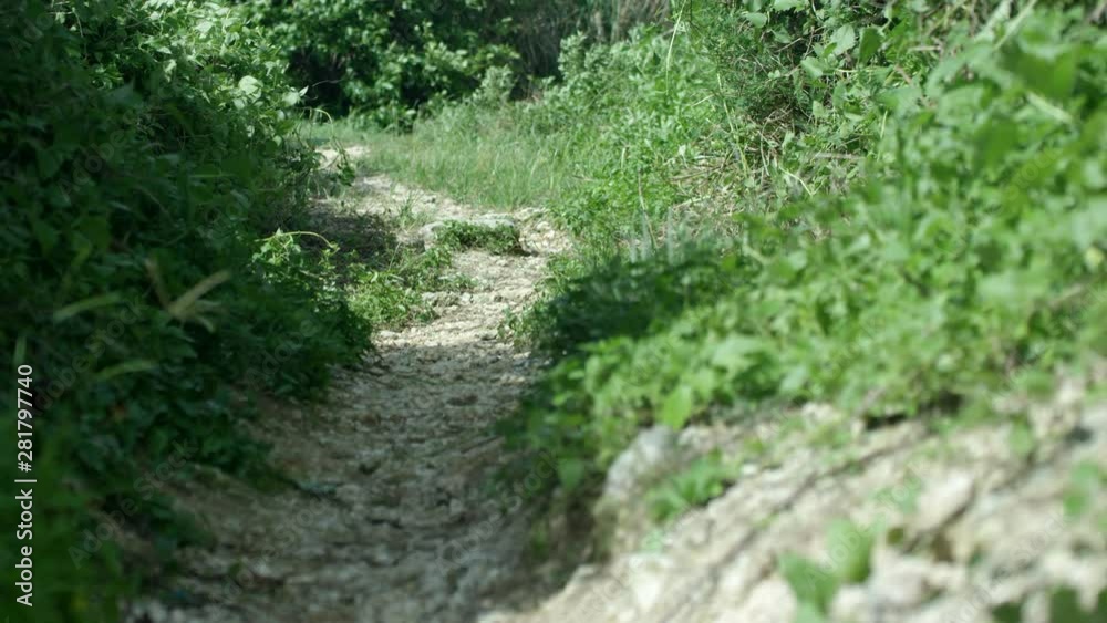 Okinawa Prefecture, Japan Okinawa Prefecture, Japan